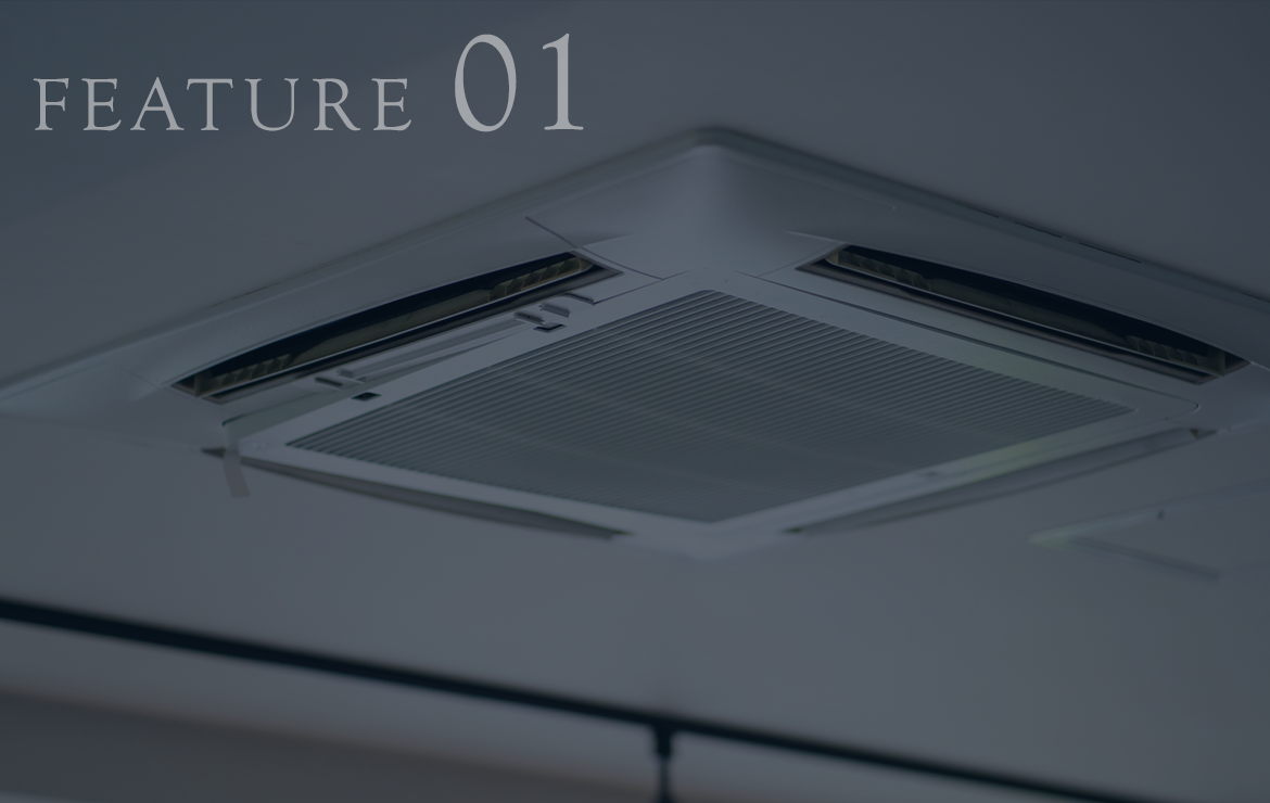 FEATURE01